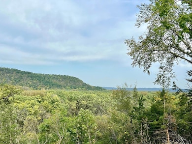 4336 Lookout Ln, Red Wing, MN 55066 - photo 3