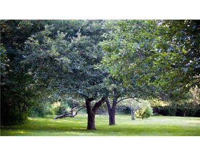 Yard/Garden.