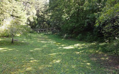Additional View