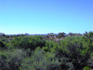 Lot 7 Natural Area Open Space Behind