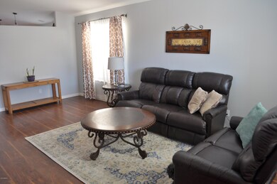 Entry view into the Living room