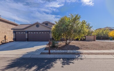 Calle Franja Verde-11