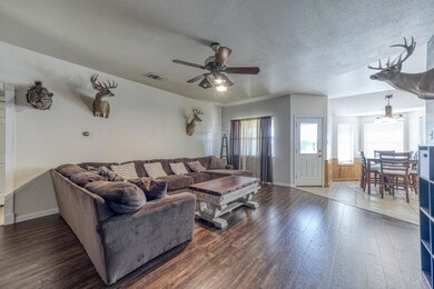 125 Savannah Dr, Weatherford, TX 76087 - photo 6