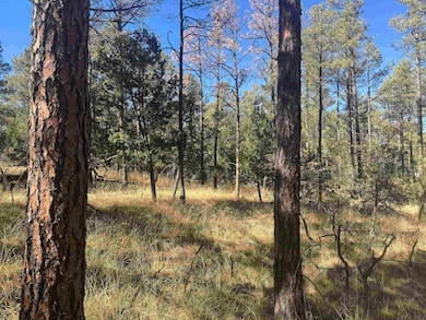 0 Dixwood Dr unit 171905, Timberon, NM 88350 - photo 4