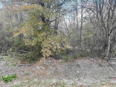 0 Main St, Alicia, AR 72410 - photo 5