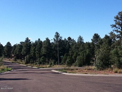 320 E Huckleberry Ln, Show Low, AZ 85901 - photo 2