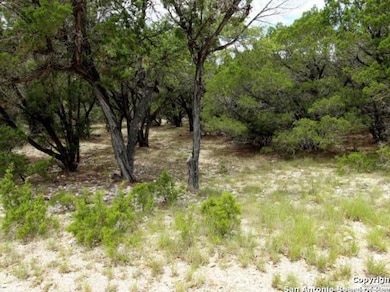 LAKERIDGE LOOP Lot 55, Lakehills, TX 78063 - photo 6