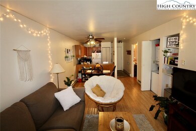 128 Zeb St unit Bldg A 105, Boone, NC 28607 - photo 4