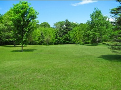 From the large back yard