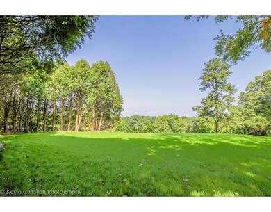 55 N Park St, Franklin, MA 02038 - photo 6