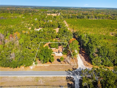 3780 NW County Road 340, Bell, FL 32619 - photo 2