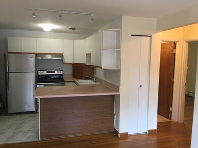 62 Carey Ave unit 9, Watertown, MA 02472 - photo 3