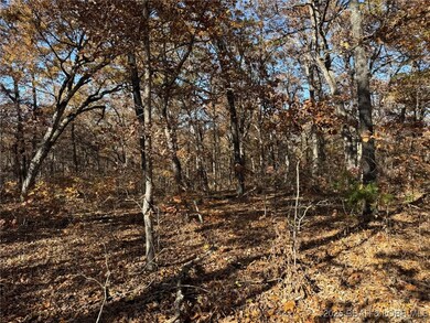 54 Acres Whitetail Way, Cole Township, MO 65338 - photo 2