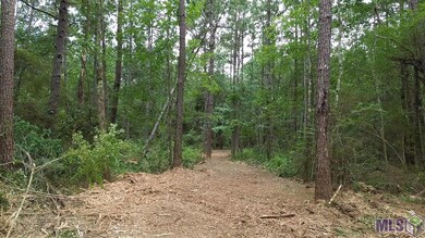 Tract C Whiskey Ln unit C, Tickfaw, LA 70466 - photo 2