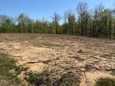 0 Frost Creek Dr, Crossville, TN 38571 - photo 3