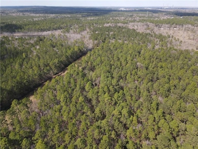 Aerial view featuring a view of trees