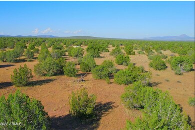 TBD Wagon Tree Rd 9 92 Acres --, Ash Fork, AZ 86320 - photo 7