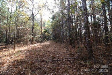 6+/-AC Bookout Rd, Rock Hill, SC 29730 - photo 4