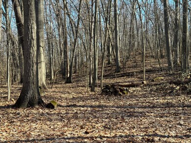 0 S 15th St, Niles, MI 49120 - photo 2