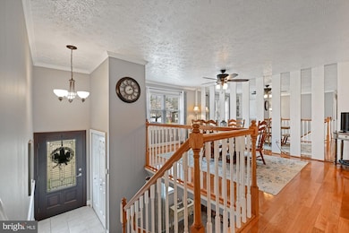 7110 Renwick Ct, Glen Burnie, MD 21061 - photo 4