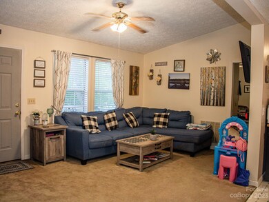 1 Naomi Dr, Hendersonville, NC 28792 - photo 5