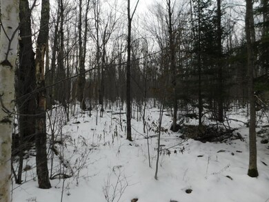 40 Acres Cth T, Tripoli, WI 54564 - photo 2