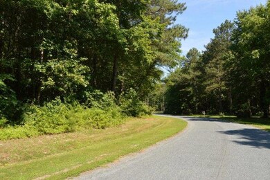 Lot 18 Yeo Neck Run Rd unit 18, Melfa, VA 23410 - photo 5