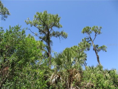 Blue skies welcome you to SW Florida