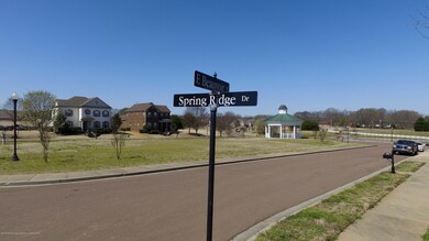 3181 Spring Ridge Dr, Hernando, MS 38632 - photo 5