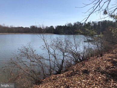 16 Merrimac Cove, Ruther Glen, VA 22546 - photo 3