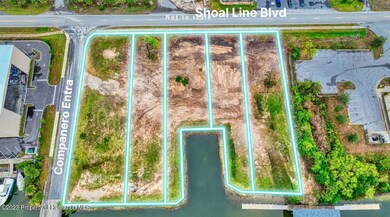 4055 Shoal Line Blvd, Hernando Beach, FL 34607 - photo 4