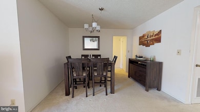 5901 Mount Eagle Dr unit 507, Alexandria, VA 22303 - photo 7