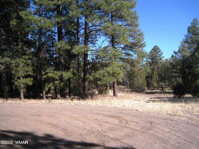 2873 Hwy 260b