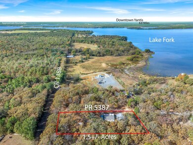 331 Private Road 5387, Yantis, TX 75497 - photo 2