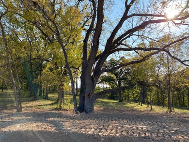 L47 Ph2 Irish Hills Estates, Nixa, MO 65714 - photo 3