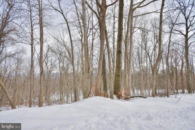 2965 Hampshire Grade Rd, Hedgesville, WV 25427 - photo 4