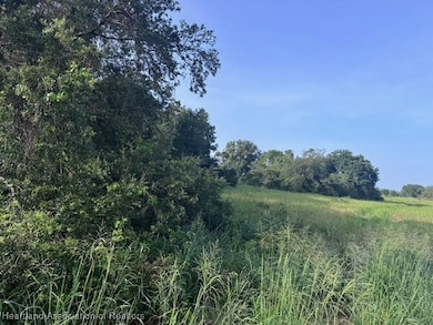 7710 Lake Buffum Rd N, Fort Meade, FL 33841 - photo 4