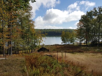 196 Fawn Lake Dr, Lackawaxen Township, PA 18428 - photo 3