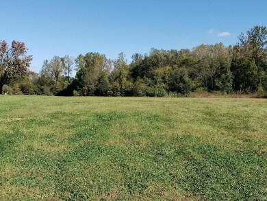 unlisted-address, Freeburg, IL 62243 - photo 4