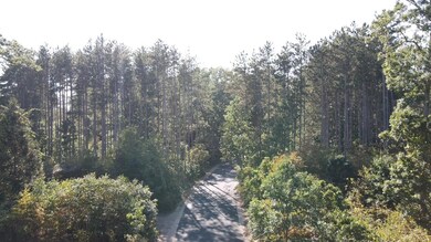 IMG_7767