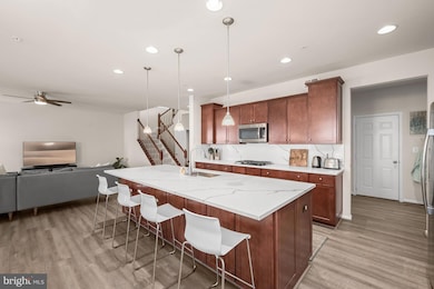 3515 Doc Berlin Dr, Silver Spring, MD 20906 - photo 3