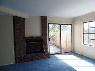 Cozy Fireplace
