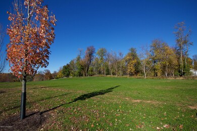 IMG_3312