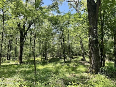 Springwood Trail Lot: 3, Flora, MS 39071 - photo 6