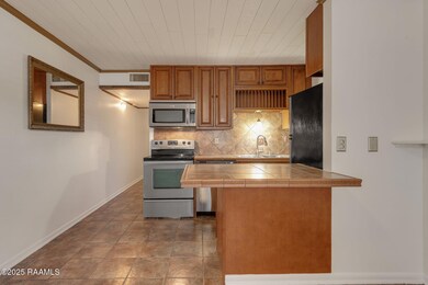310 Ella St unit 302, Lafayette, LA 70506 - photo 6
