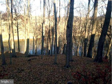 1393 Steamboat Run Rd, Shepherdstown, WV 25443 - photo 4