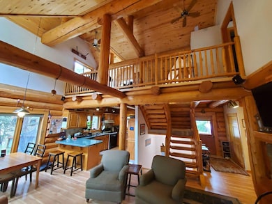 31 Beeslack Ln, Telluride, CO 81320 - photo 5