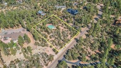 3478 N Wilderness Trail, Pine, AZ 85544 - photo 3