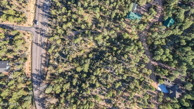 Lot 5 Pine Hollow Trail unit 5, Pine, AZ 85544 - photo 7