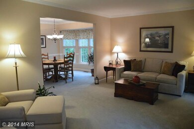 4 Hampshire Ct, Stafford, VA 22554 - photo 3